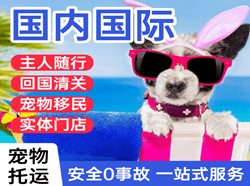 大连周水子机场货运国际宠物托运 【国